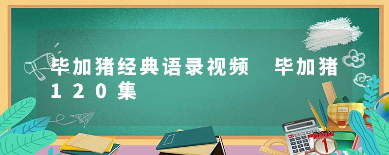 毕加猪经典语录视频 毕加猪120集