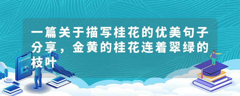 一篇关于描写桂花的优美句子分享，金黄的桂花连着翠绿的枝叶
