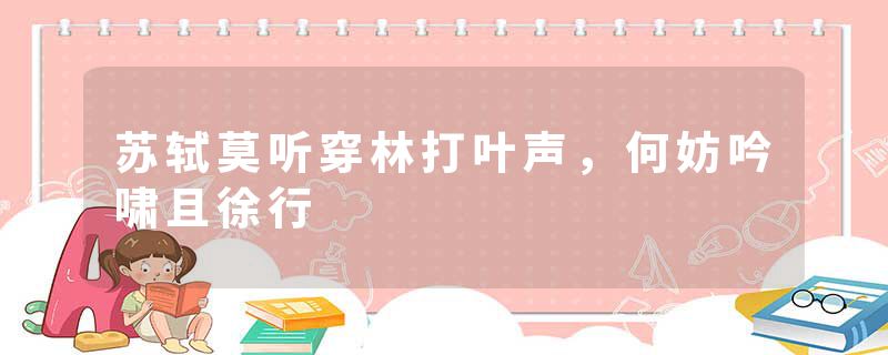 苏轼莫听穿林打叶声,何妨吟啸且徐行