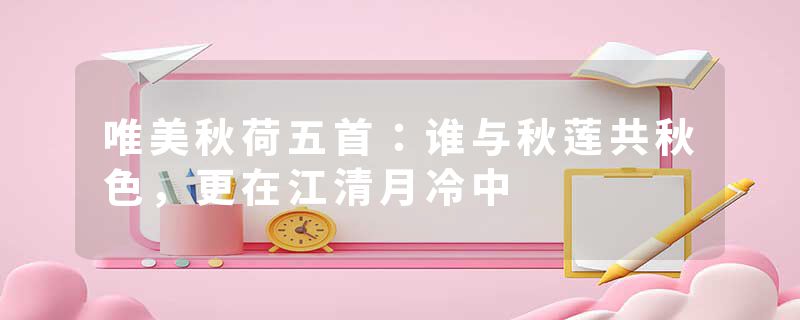 唯美秋荷五首：谁与秋莲共秋色，更在江清月冷中