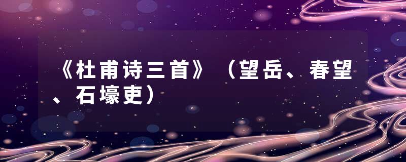 《杜甫诗三首》（望岳、春望、石壕吏）