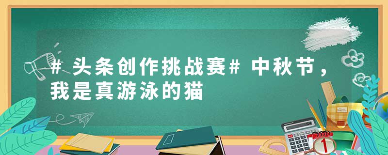 #头条创作挑战赛#中秋节，我是真游泳的猫