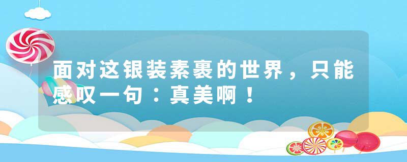 面对这银装素裹的世界，只能感叹一句：真美啊！