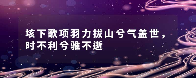 垓下歌项羽力拔山兮气盖世，时不利兮骓不逝