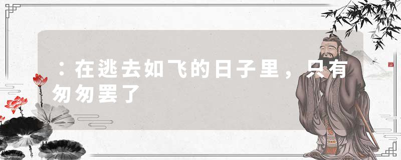 ：在逃去如飞的日子里，只有匆匆罢了