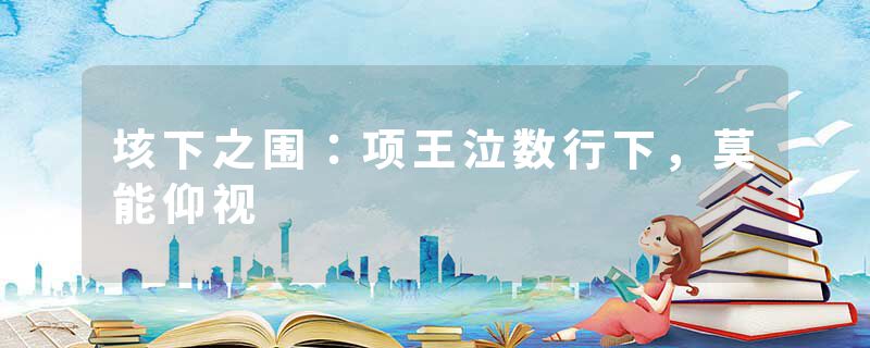 垓下之围：项王泣数行下，莫能仰视