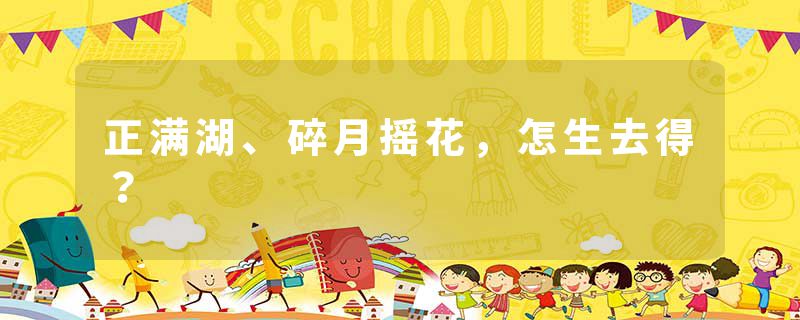 正满湖、碎月摇花，怎生去得？