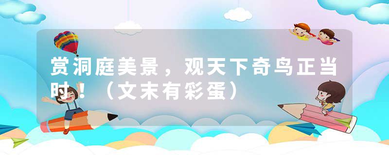 赏洞庭美景,观天下奇鸟正当时!(文末有彩蛋)