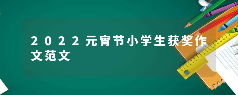 2022元宵节小学生获奖作文范文