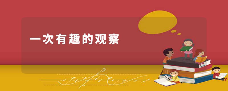 一次有趣的观察