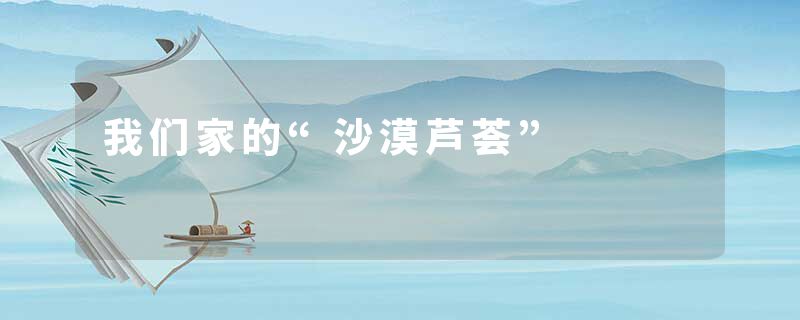 我们家的“沙漠芦荟”