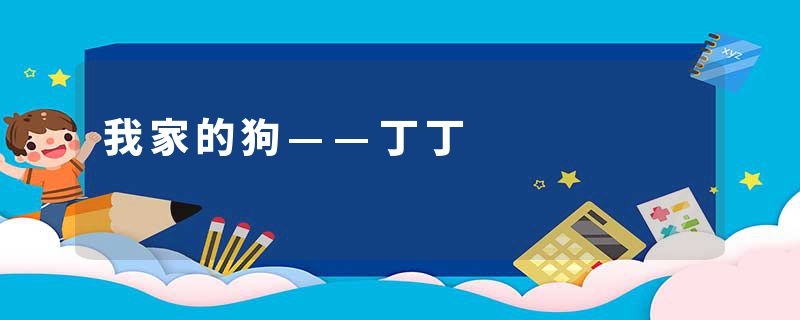 我家的狗——丁丁
