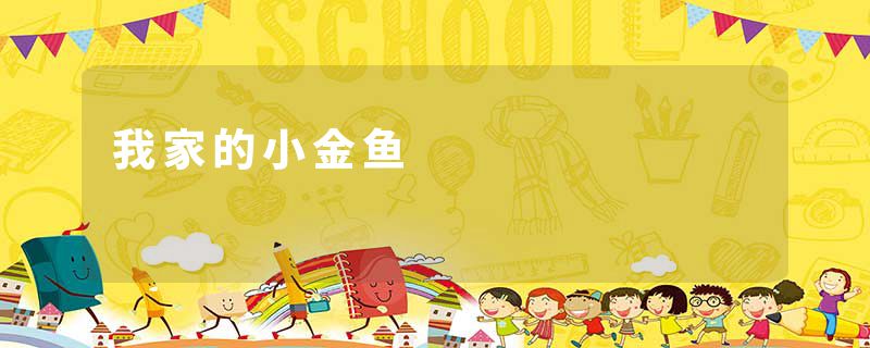 我家的小金鱼