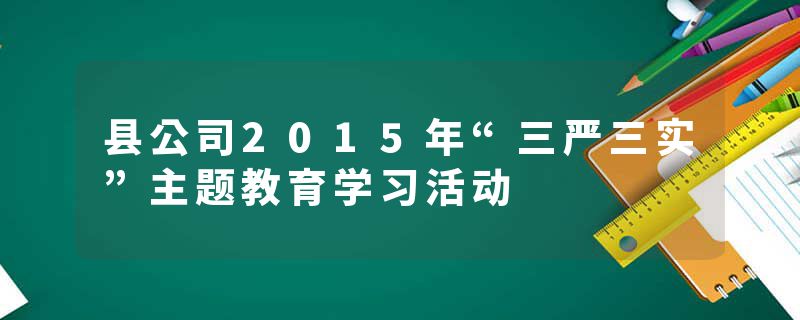 县公司2015年“三严三实”主题教育学习活动