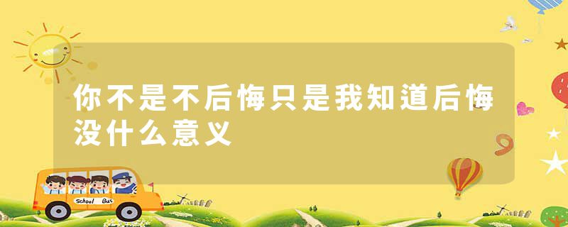 你不是不后悔只是我知道后悔没什么意义