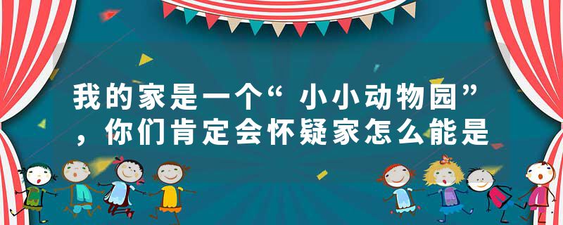 我的家是一个“小小动物园”，你们肯定会怀疑家怎么能是