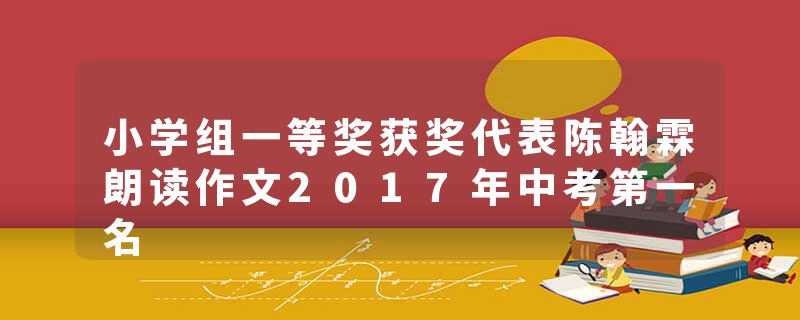 小学组一等奖获奖代表陈翰霖朗读作文2017年中考第一名
