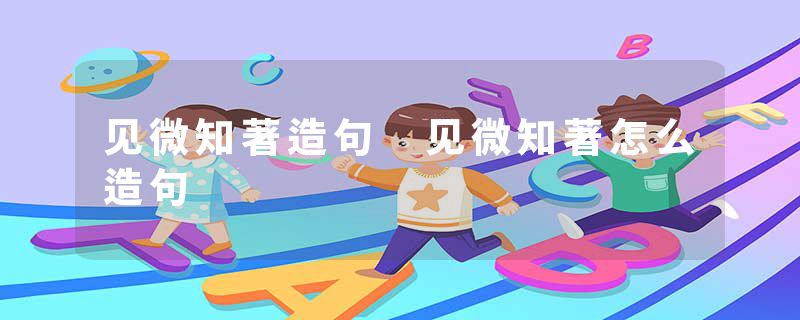 见微知著造句 见微知著怎么造句