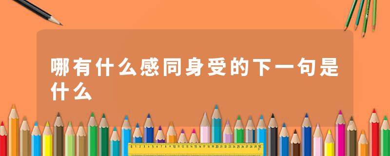 哪有什么感同身受的下一句是什么