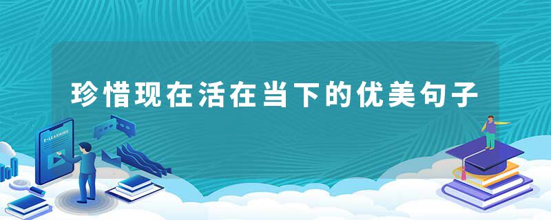 珍惜现在活在当下的优美句子