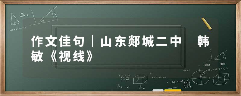 作文佳句｜山东郯城二中 韩敏《视线》