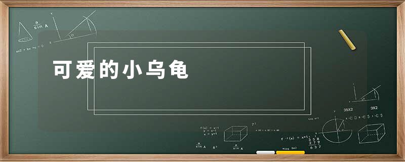 可爱的小乌龟