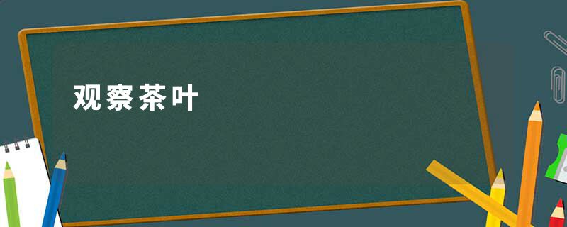 观察茶叶