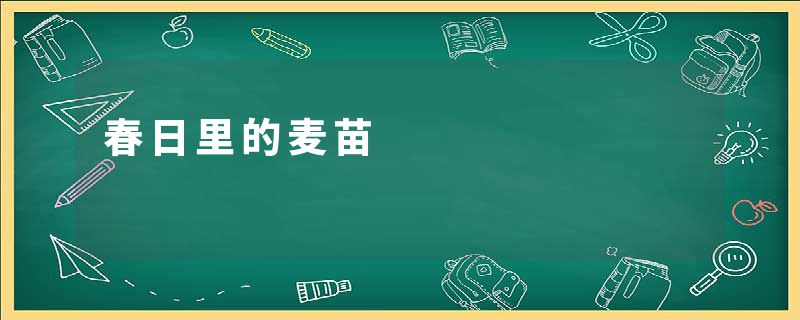 春日里的麦苗