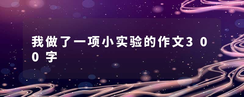 我做了一项小实验的作文300字