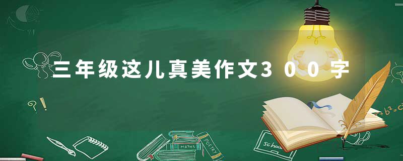 三年级这儿真美作文300字