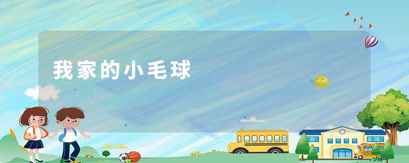 我家的小毛球