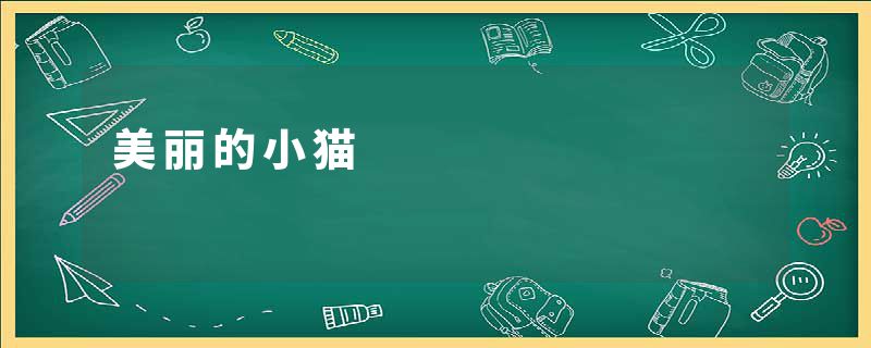美丽的小猫