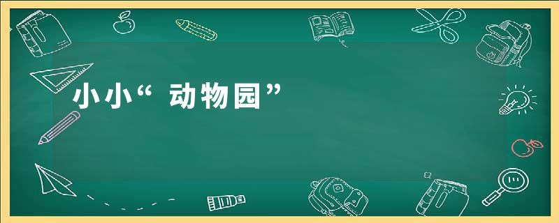 小小“动物园”