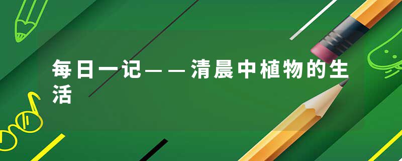 每日一记——清晨中植物的生活