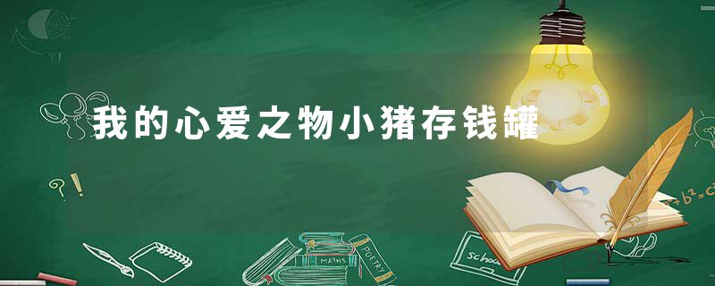 我的心爱之物小猪存钱罐