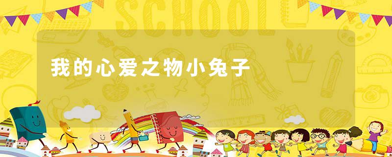 我的心爱之物小兔子