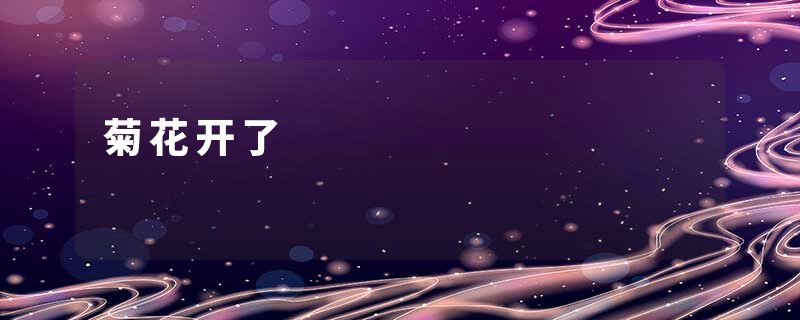 菊花开了