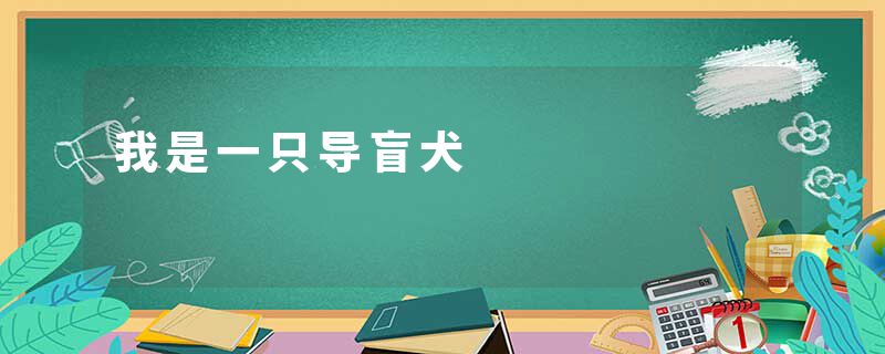 我是一只导盲犬