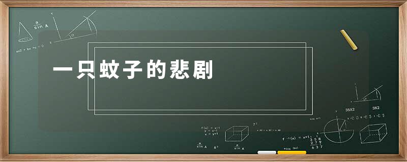 一只蚊子的悲剧