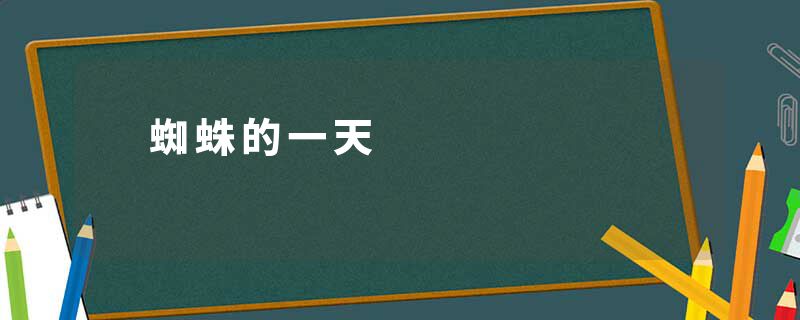 　蜘蛛的一天