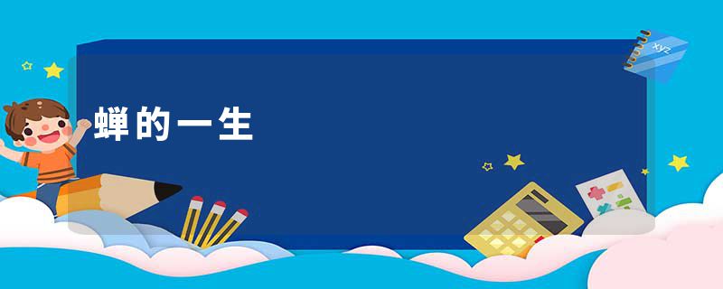 蝉的一生