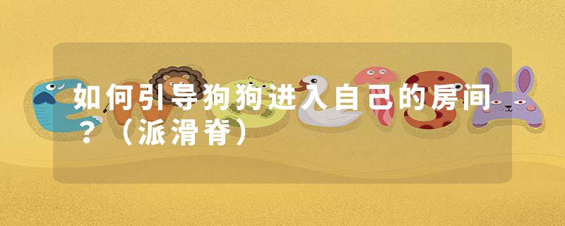 如何引导狗狗进入自己的房间？（派滑脊）