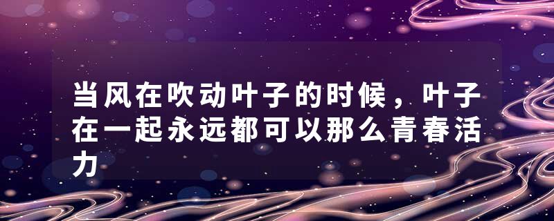 当风在吹动叶子的时候，叶子在一起永远都可以那么青春活力