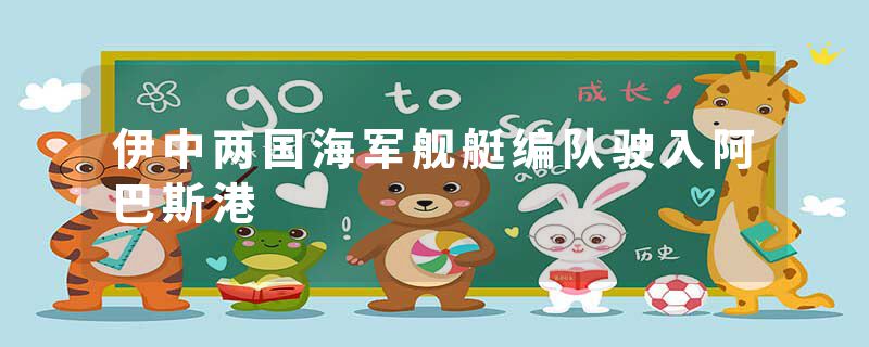 伊中两国海军舰艇编队驶入阿巴斯港