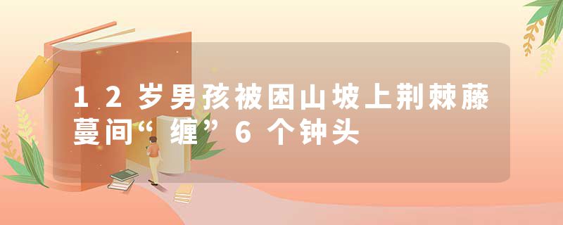 12岁男孩被困山坡上荆棘藤蔓间“缠”6个钟头