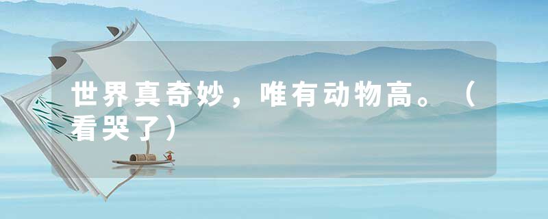 世界真奇妙，唯有动物高。（看哭了）