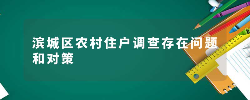 滨城区农村住户调查存在问题和对策
