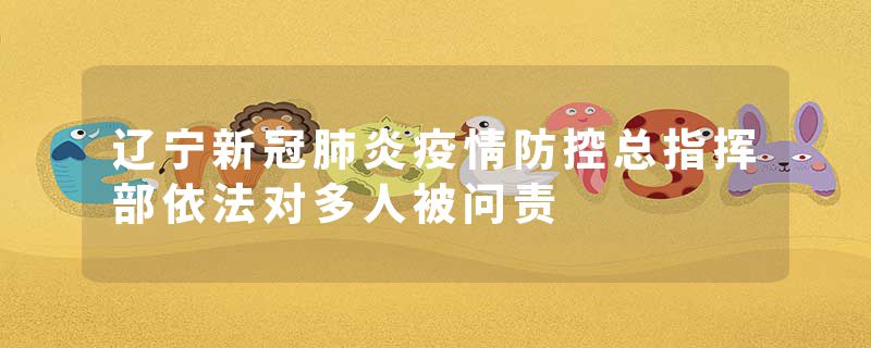 辽宁新冠肺炎疫情防控总指挥部依法对多人被问责