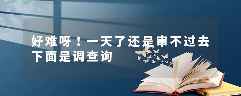 好难呀！一天了还是审不过去下面是调查询