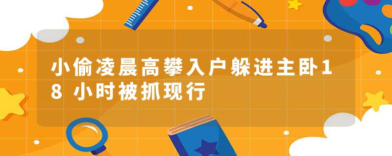 小偷凌晨高攀入户躲进主卧18小时被抓现行
